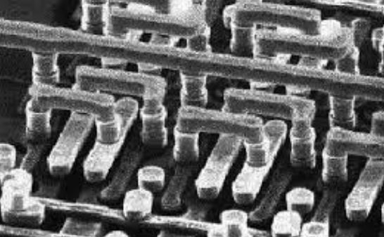 Chip inspection using SEM