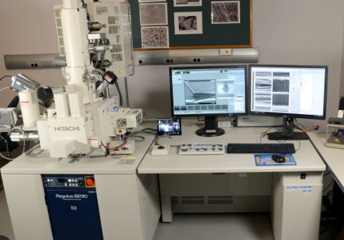EDX spectrum analysis on screen